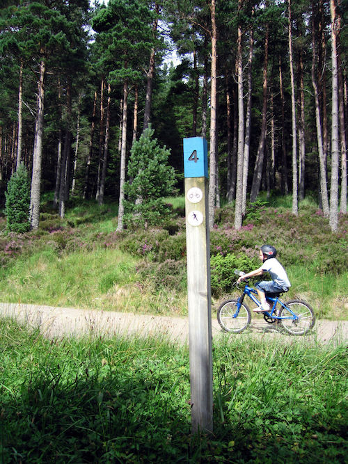 Rothiemurcus, campingplätze schottland